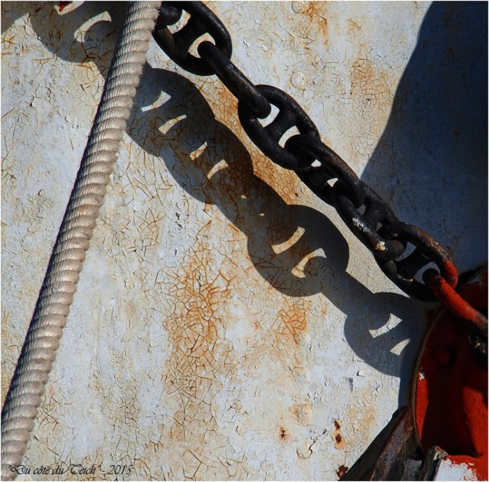 BLOG-P1153558-2-coque Ville de Bordeaux BLOG-P1153558-2-coque Ville de Bordeaux