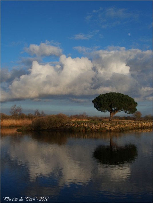 BLOG-P1203610-Leyre et entrée port du Teich