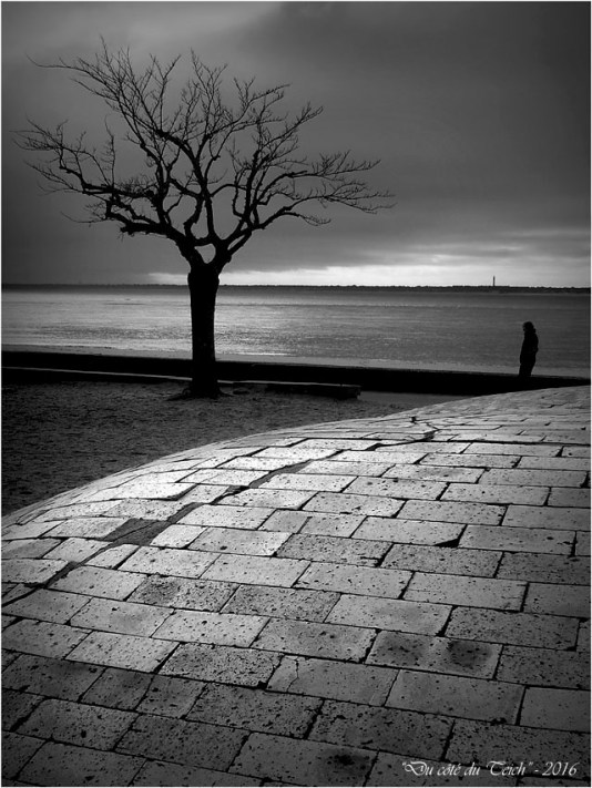 BLOG-P1263653-promenade plage Péreire N&B2