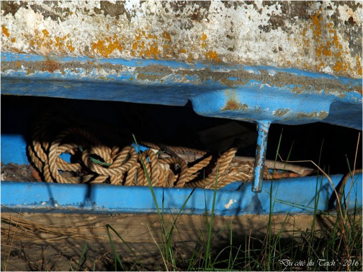 BLOG-P2043707-bouts coque retournée