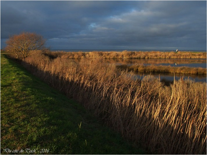 BLOG-P2043782-rivages ouest port du Rocher