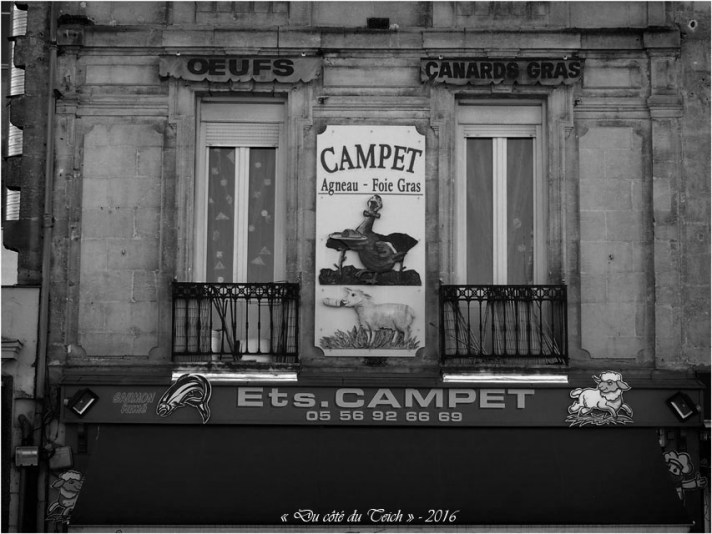 BLOG-P2163872-Ets Campets Capucins Bordeaux N&B
