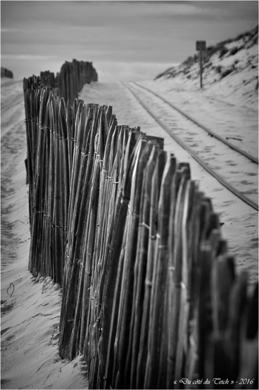 BLOG-DSC_39433-rail dunes Cap-Ferret N&B