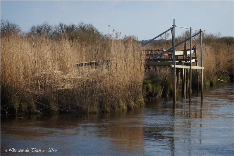 BLOG-P3154048-Leyre port des tuiles Biganos
