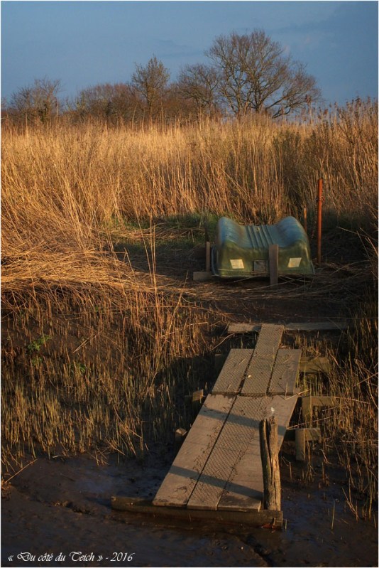 BLOG-P3154089-port des tuiles Biganos