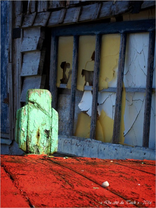 BLOG-P3264135-vieux chaland et cabane Canal