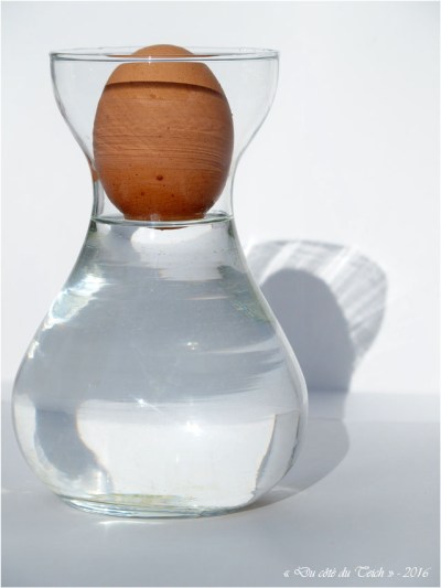 BLOG-P3264170-oeuf verre à bulbe