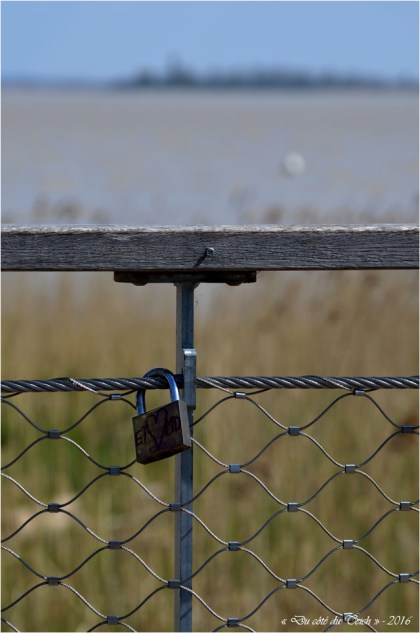 BLOG-DSC_39747-cadenas face île Patiras