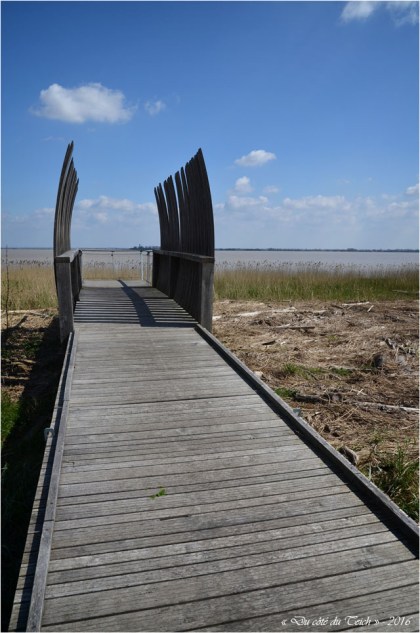 BLOG-DSC_39762-rivages Pauillac