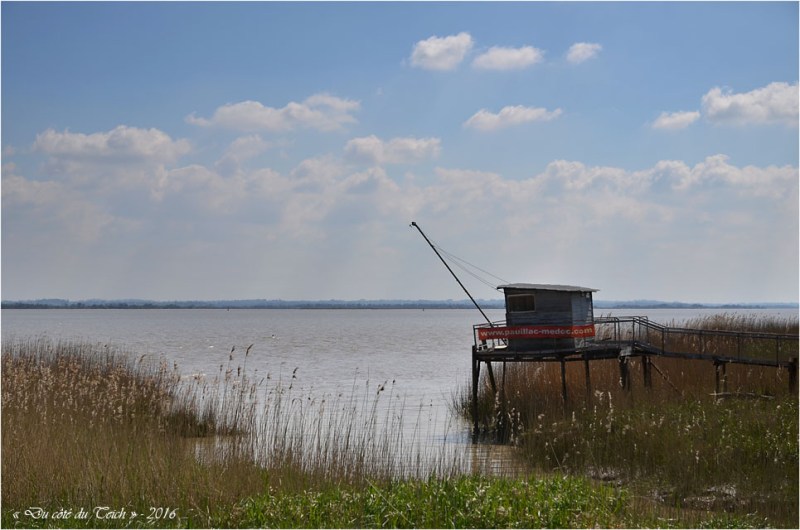 BLOG-DSC_39765-carrelet Pauillac estuaire Gironde
