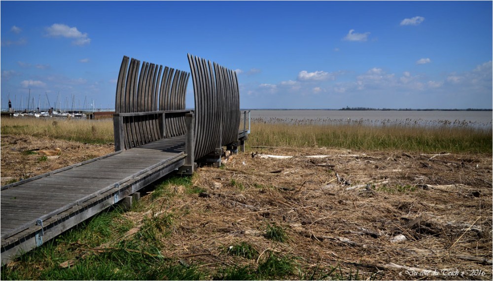 BLOG-DSC_39773-rivages Pauillac estuaire et île Patiras