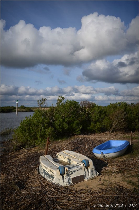 BLOG-DSC_40307-barques Leyre le Teich