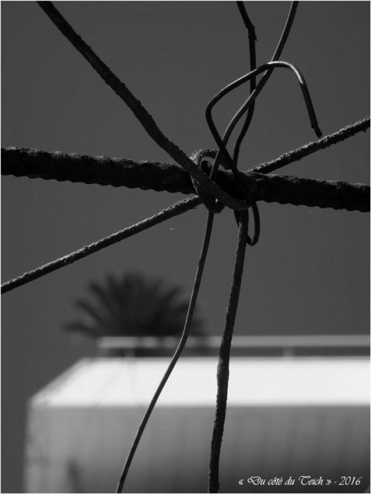 BLOG-P4294430-treille et immeuble mer et sud N&B