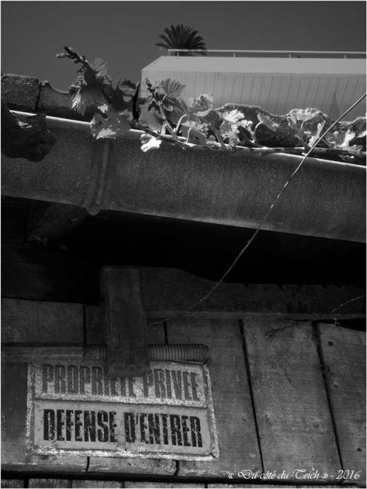 BLOG-P4294432-cabane et immeuble Mer et Sud N&B