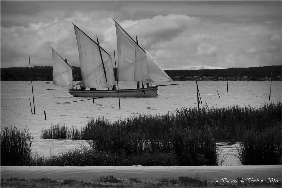 BLOG-P7025002-Canot 13 rivages Audenge et dune du Pilat N&B1