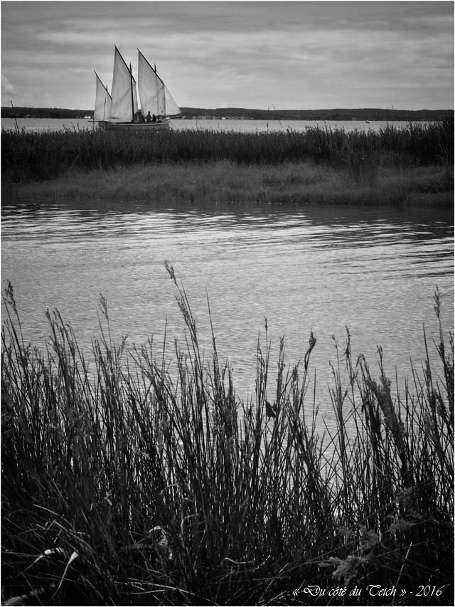 BLOG-P7025013-Canot 13 rivages Audenge N&B