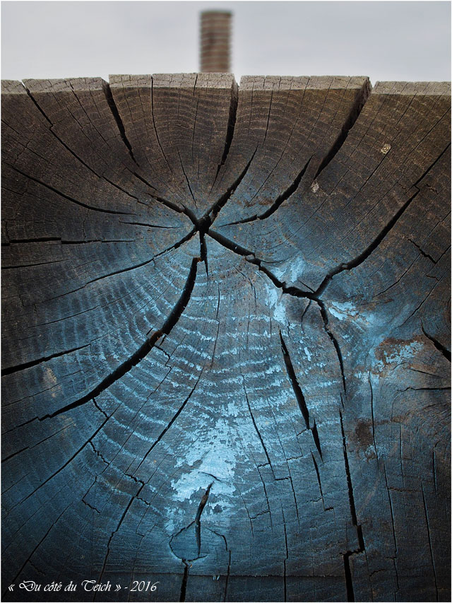 blog-p9086167-ecluse blog-p9086167-ecluse