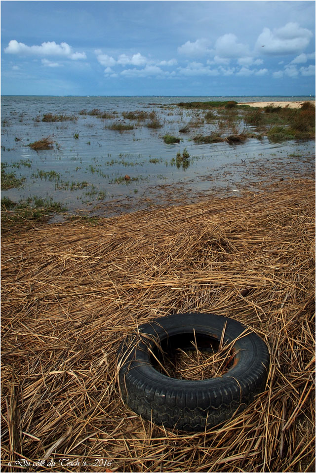 blog-p9146182-2-rivages-entre-canal-et-larros