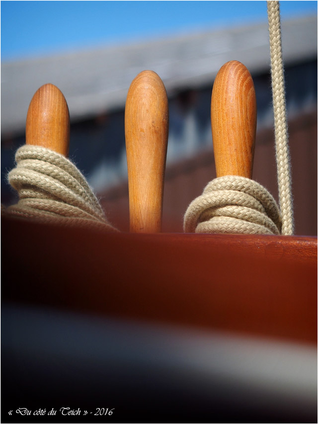 blog-p9256319-freedom