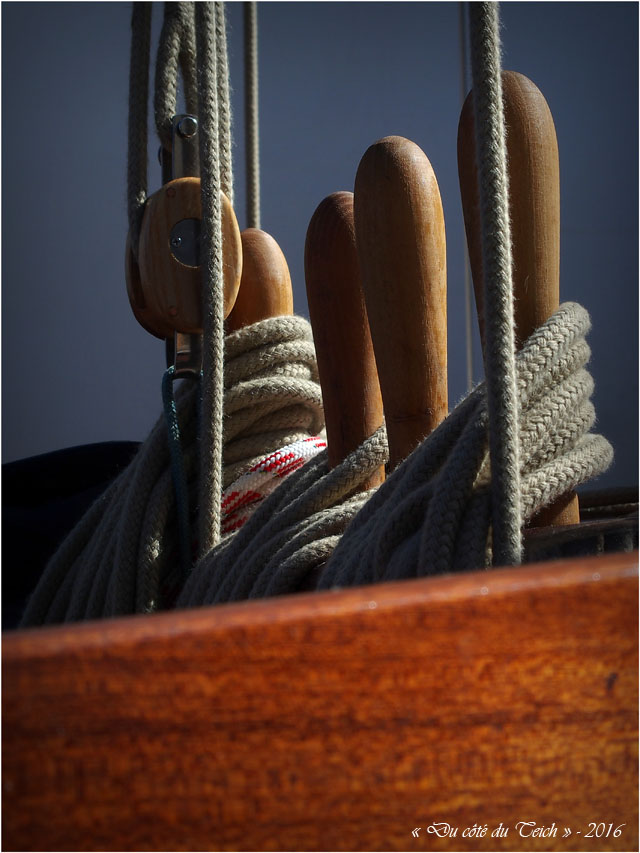 blog-p9256323-freedom