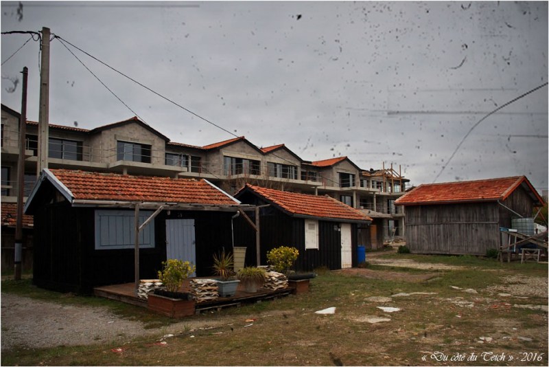 blog-pb167052-cabanes-et-constructions-lapin-blanc-pa03-c