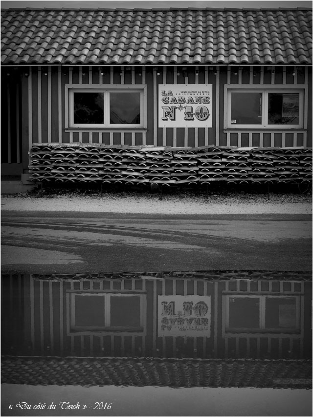 blog-pb247136-cabane-10-audenge-et-reflet-nb2