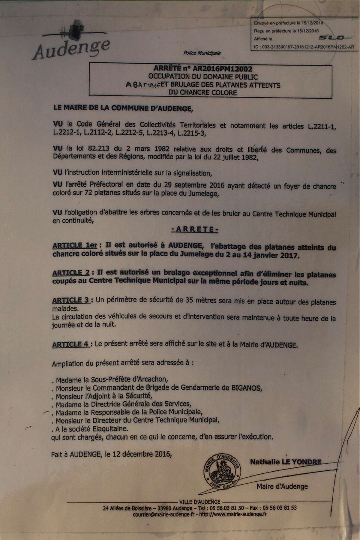 blog-p1037648-arrete-municipal-abattage-brulage-platanes-chancre-colore-15-dec-2016