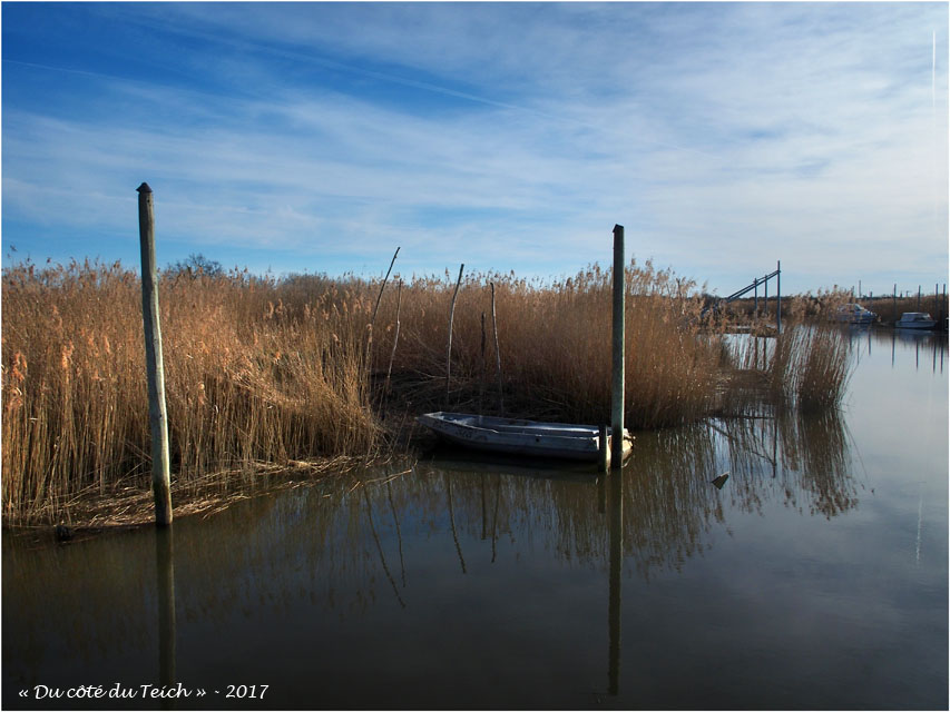 blog-p2257937-leyre-port-des-tuiles
