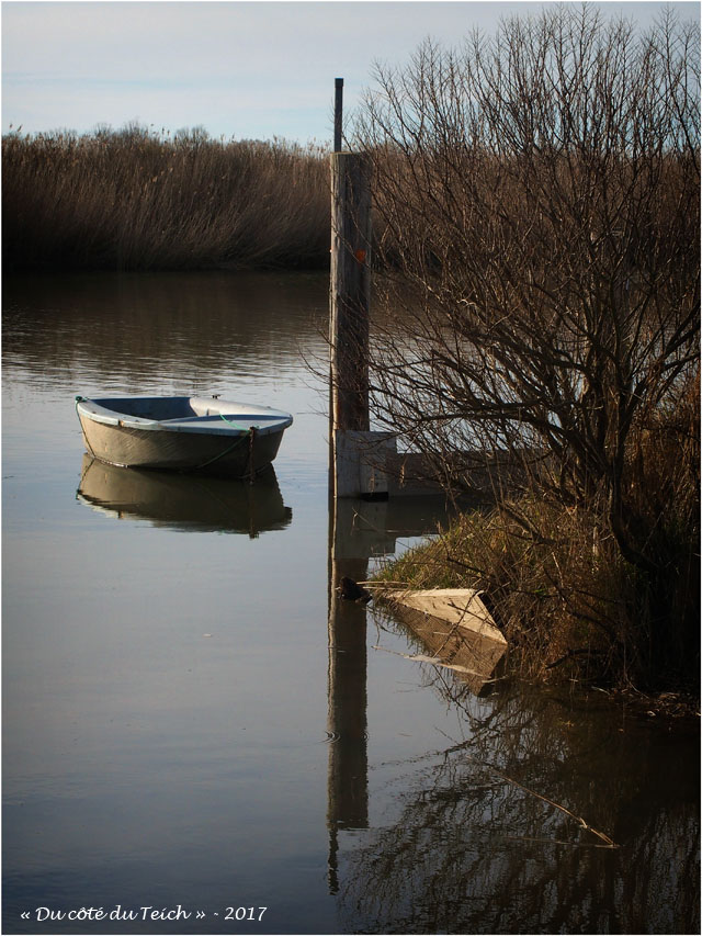 blog-p2257944-barque-leyre-port-des-tuiles blog-p2257944-barque-leyre-port-des-tuiles