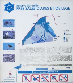 Prés salés d'Arès et de Lège