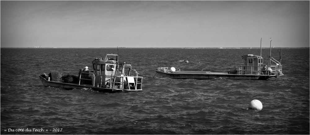blog-p5099184-bateaux-presquile-nb.jpg