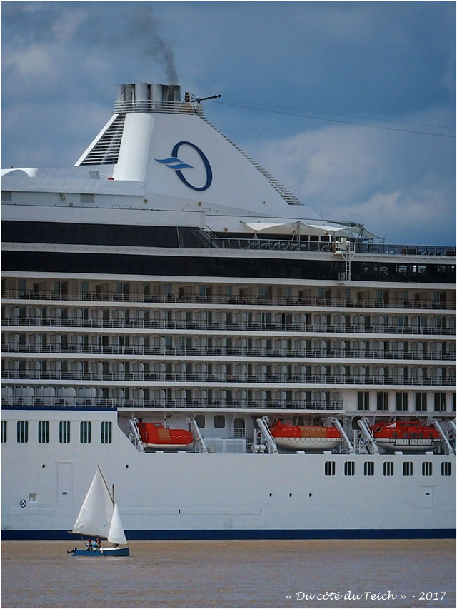 BLOG-P5309467-voilier et paquebot Marina