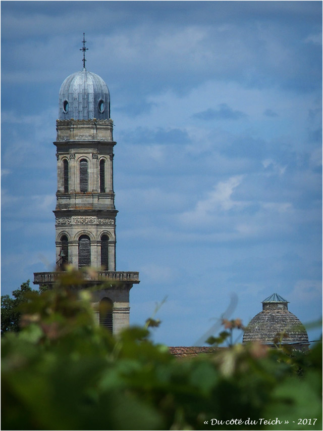 BLOG-P7110162-vigne et église St Seurin Lamarque
