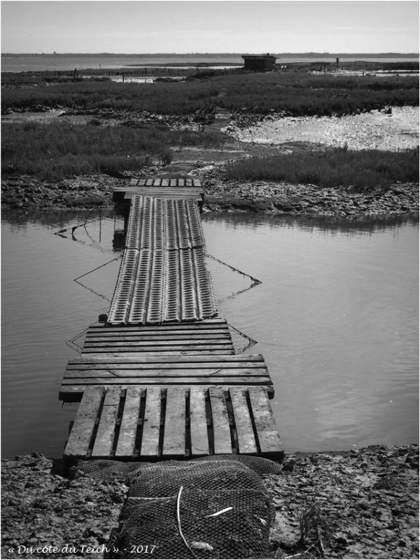 blog-p7170258-passerelle-et-tonne-de-chasse-estran-nb2.jpg