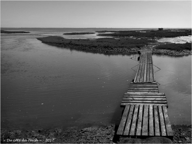 blog-p7170270-2-passerelle-et-tonne-de-chasse-estran-maree-montante-nb.jpg