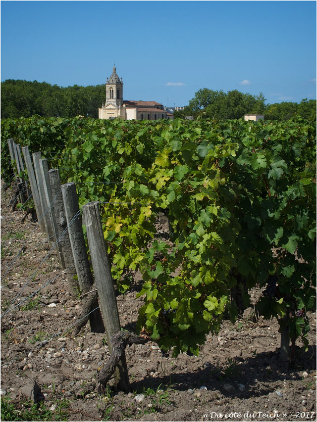 blog-p8010717-vignoble-et-c3a9glise-margaux.jpg blog-p8010717-vignoble-et-c3a9glise-margaux.jpg