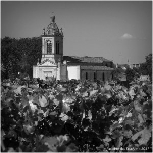 vigne et église Saint-Michel de Margaux