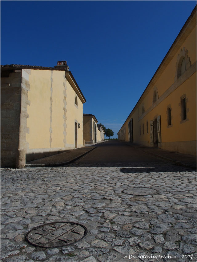 BLOG-P8010751-Château Margaux