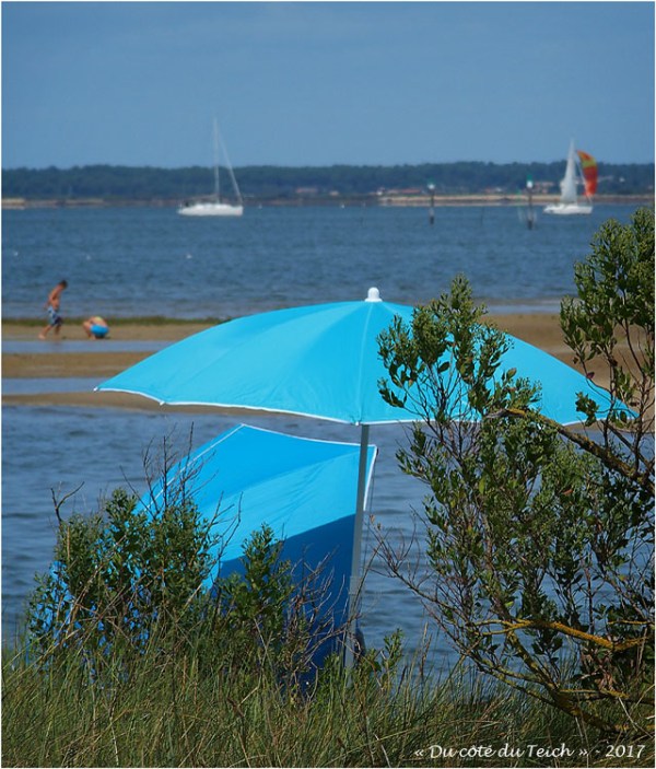 blog-p8191175-parasols-plage-du-canal.jpg