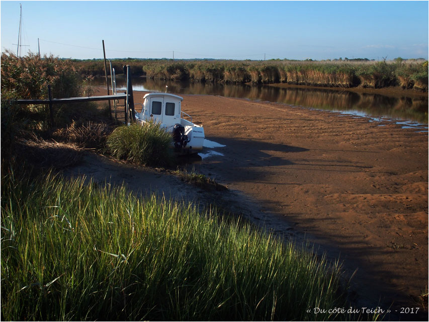 blog-p9021553-2-leyre-port-des-tuiles-matin-marc3a9e-basse.jpg blog-p9021553-2-leyre-port-des-tuiles-matin-marc3a9e-basse.jpg