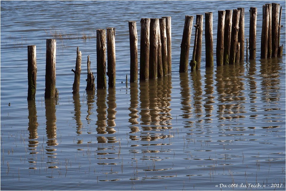 BLOG-P9201988-Lanton marée haute