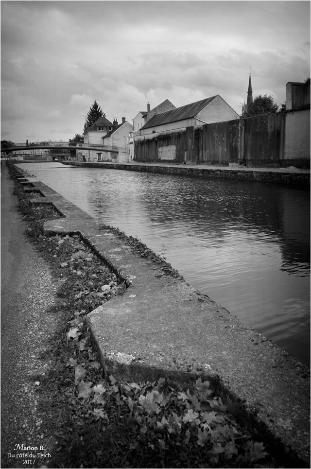 blog-dsc_41792-2-canal-de-briare-montargis-nb.jpg