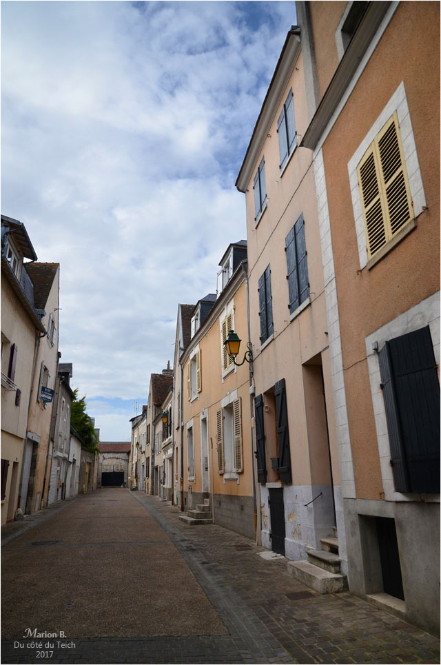 blog-dsc_41813-montargis.jpg