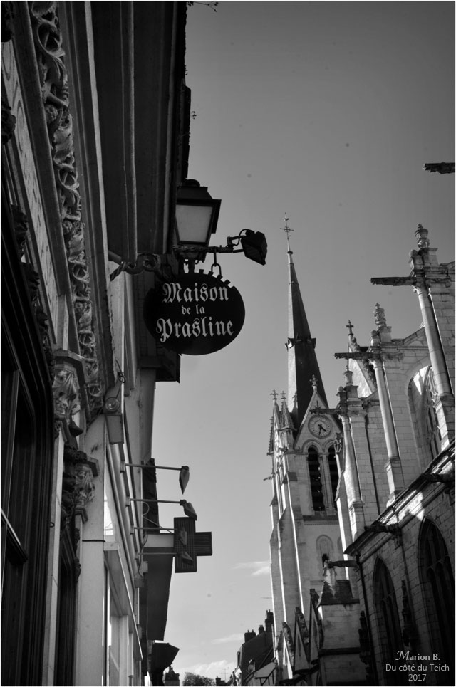 BLOG-DSC_41961-maison de la prasline et Ste Madeleine Montargis