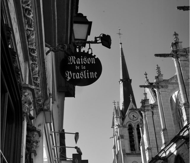 BLOG-DSC_41961-maison de la prasline et Ste Madeleine Montargis