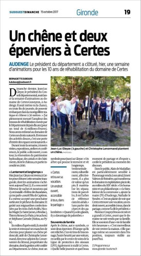 Un chêne et deux éperviers à Certes