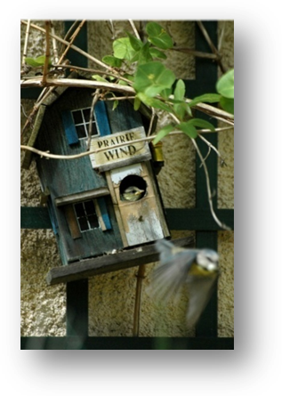 image006-nichoir mésanges