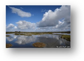 image011-réserve ornithologique le Teich