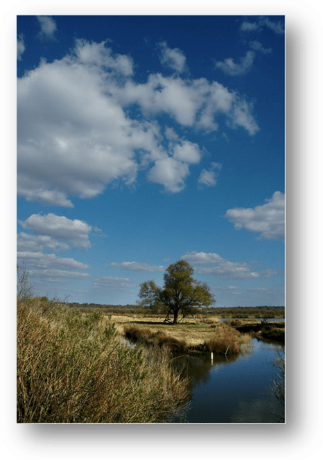 image032-plaines du Teich