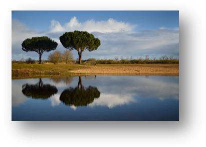 image033-bassin baignade le Teich
